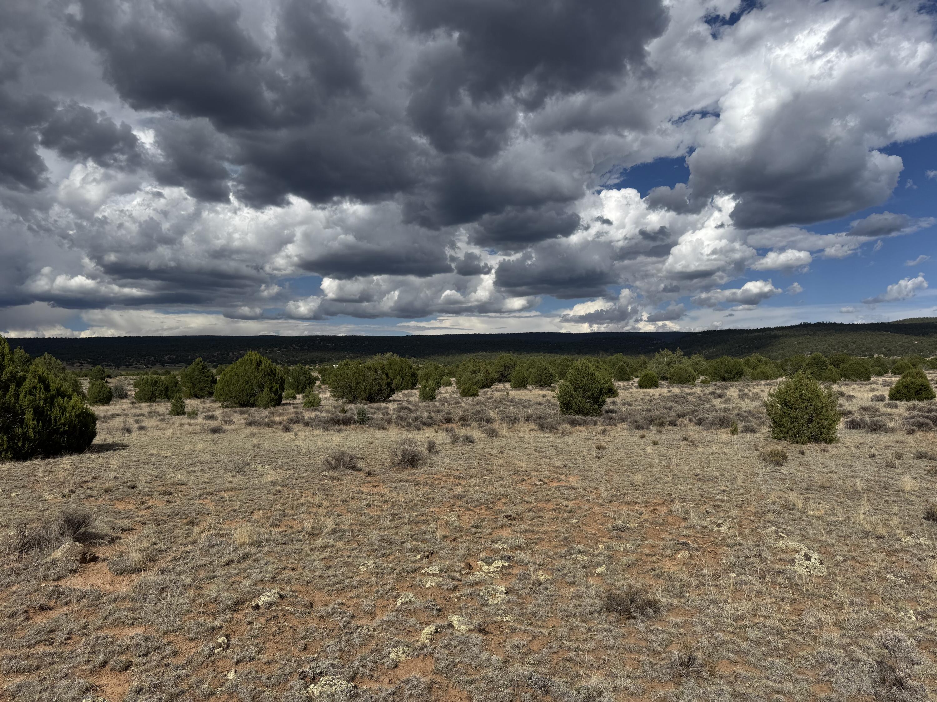 Homes for sale in Ramah, NM | Flora Ln, Ramah, NM 87321 | MLS# 1090708