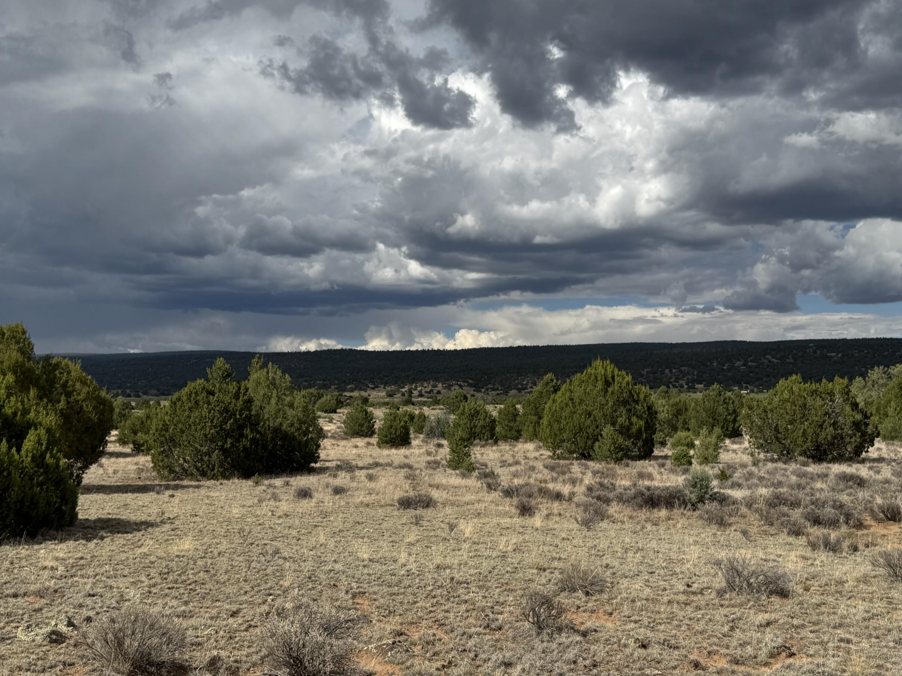 Homes for sale in Ramah, NM | Flora Ln, Ramah, NM 87321 | MLS# 1090708