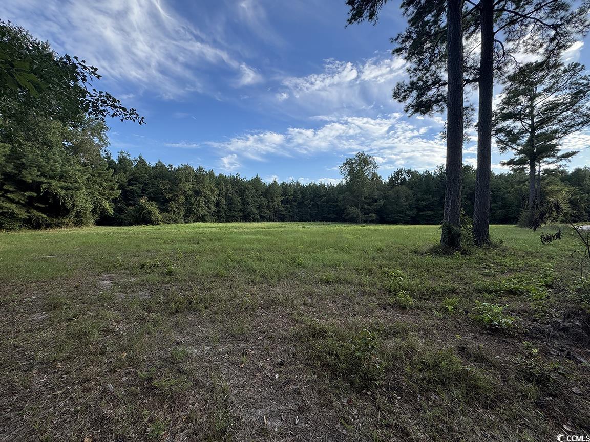 TBD Dead Ridge Rd Nichols, SC 29581