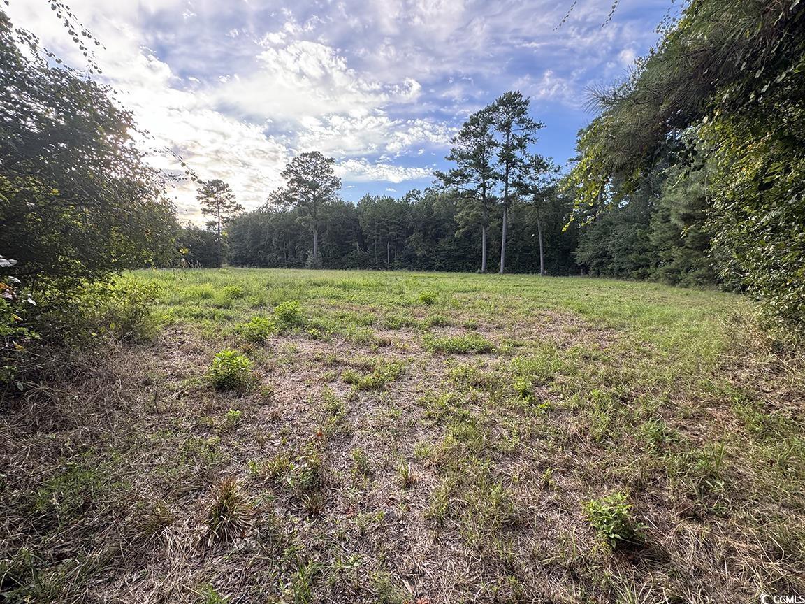 Homes for sale in Nichols, SC | Tbd Hwy 76, Nichols, SC 29581 | MLS# 2521326