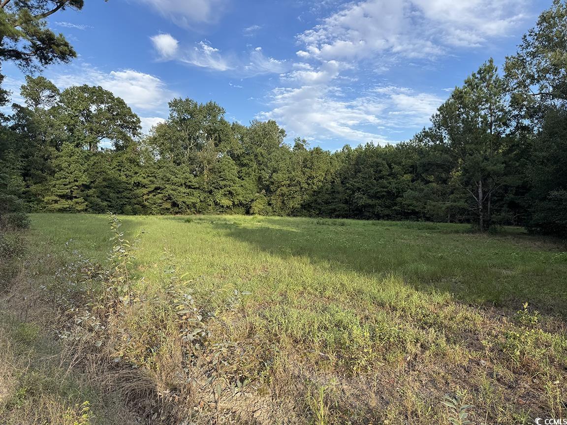 Homes for sale in Nichols, SC | Tbd Hwy 76, Nichols, SC 29581 | MLS# 2521326