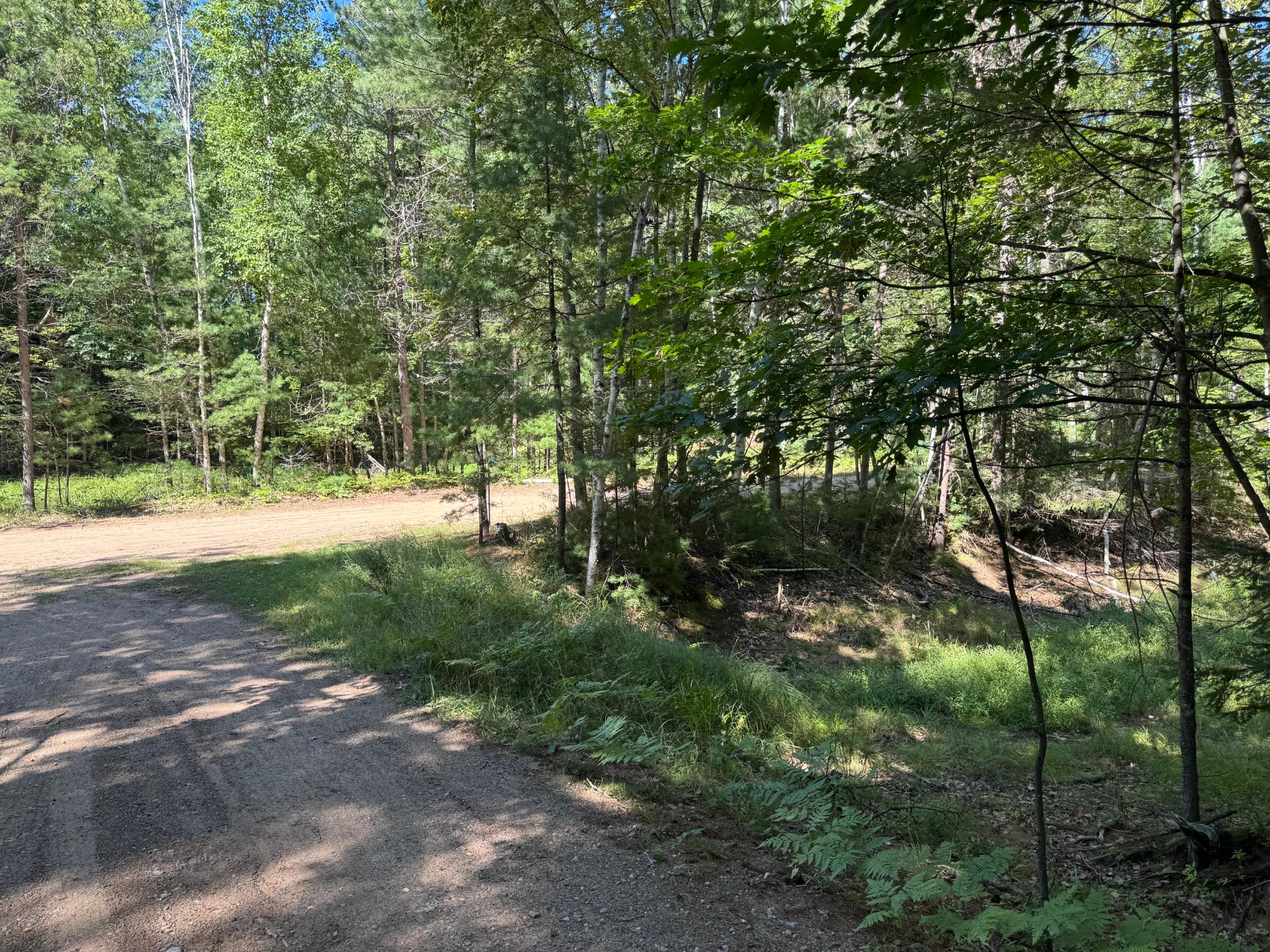 Arbutus Lake Property 4267 Red Pine Dr Photo 11