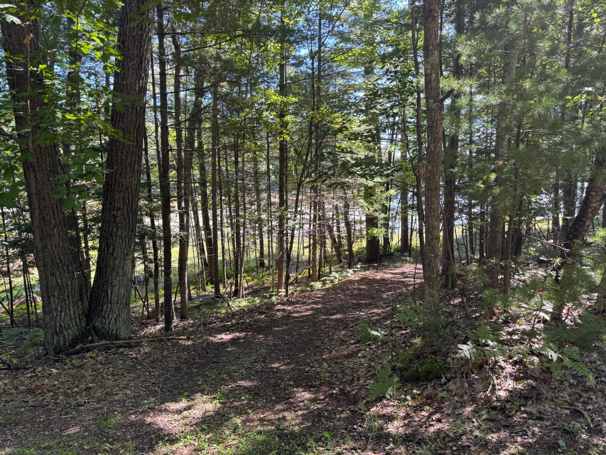 Arbutus Lake Property 4267 Red Pine Dr Photo 13