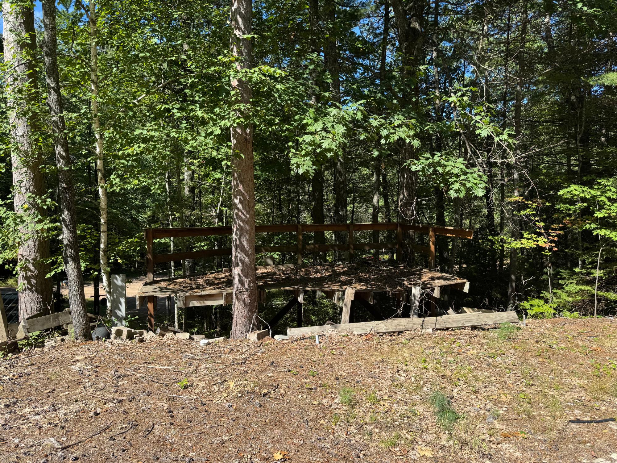 Arbutus Lake Property 4267 Red Pine Dr Photo 16