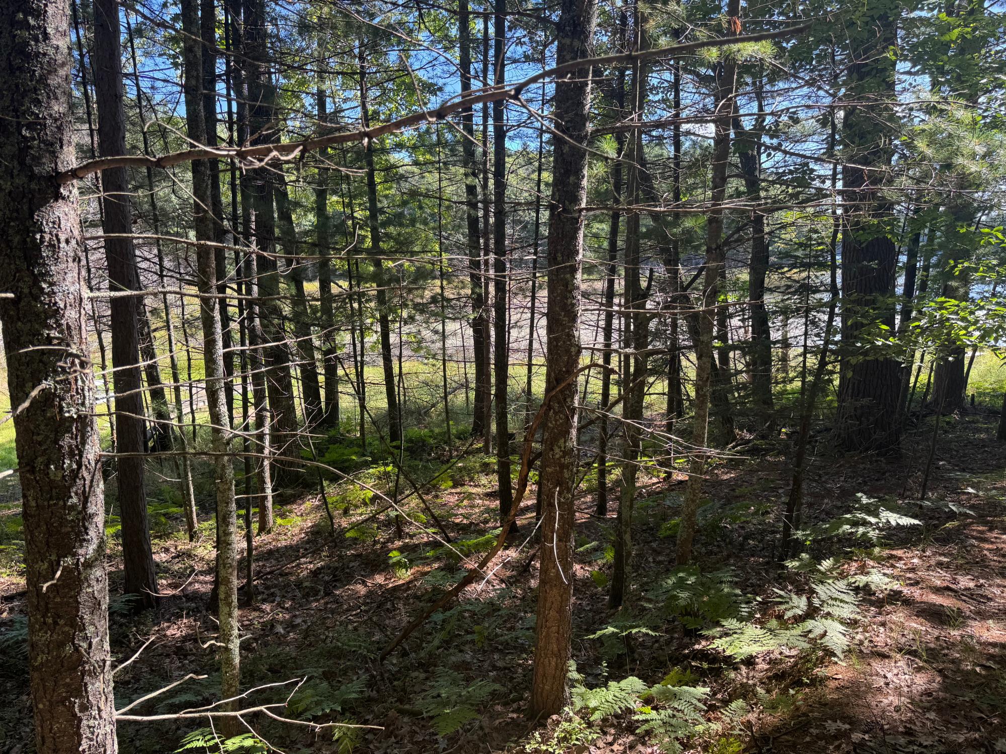 Arbutus Lake Property 4267 Red Pine Dr Photo 18