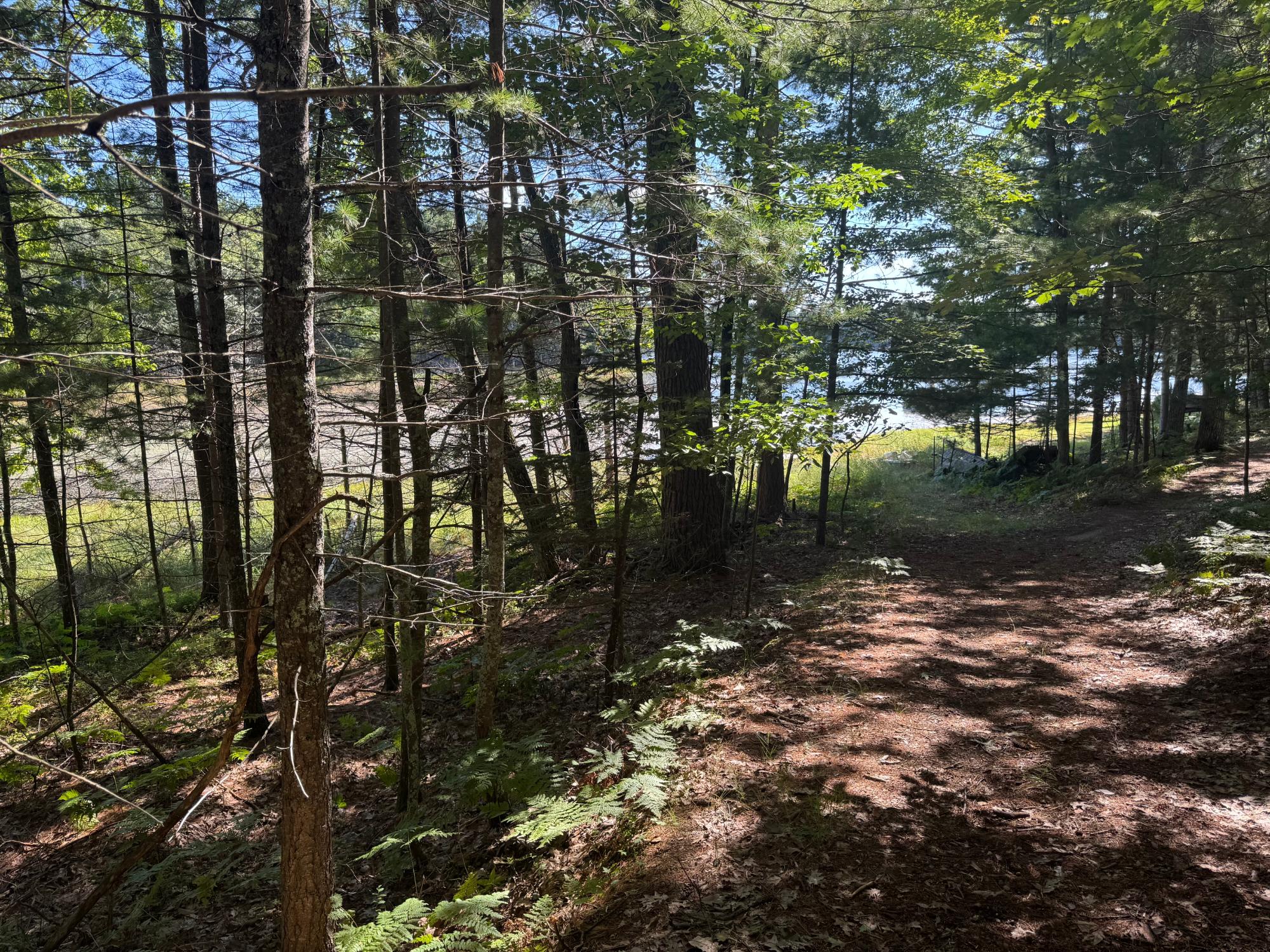 Arbutus Lake Property 4267 Red Pine Dr Photo 19