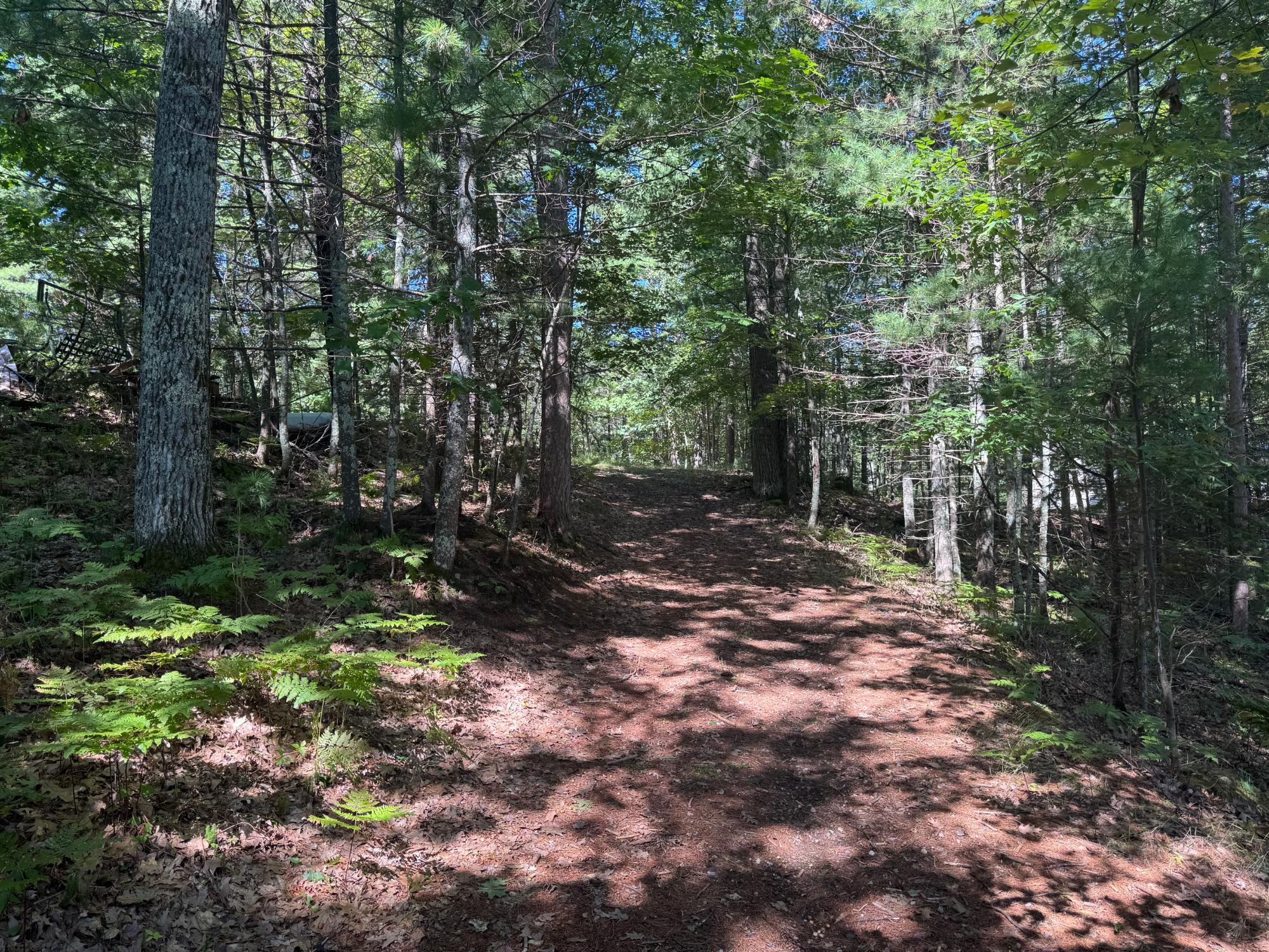 Arbutus Lake Property 4267 Red Pine Dr Photo 20