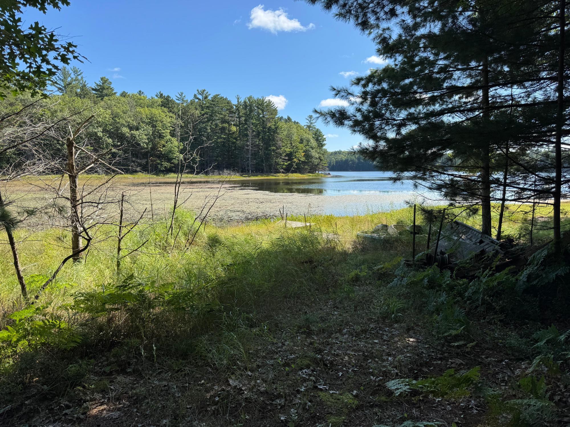 Arbutus Lake Property 4267 Red Pine Dr Photo 3