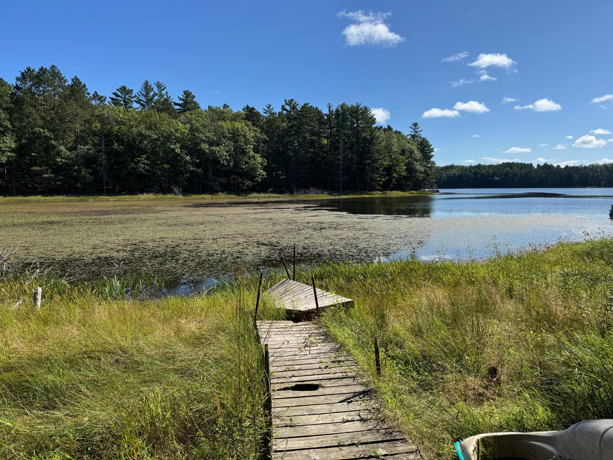 Arbutus Lake Property 4267 Red Pine Dr Photo 5