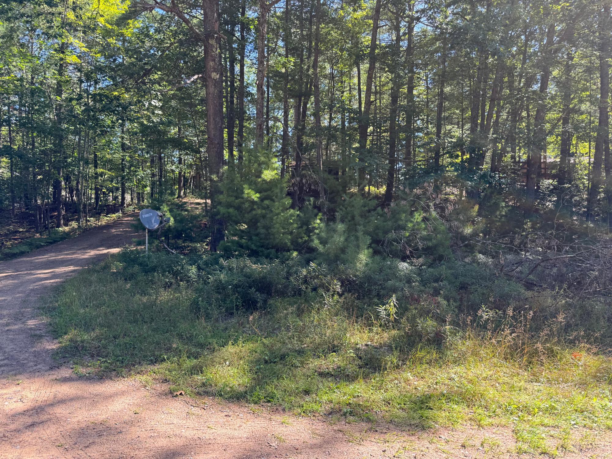 Arbutus Lake Property 4267 Red Pine Dr Photo 7