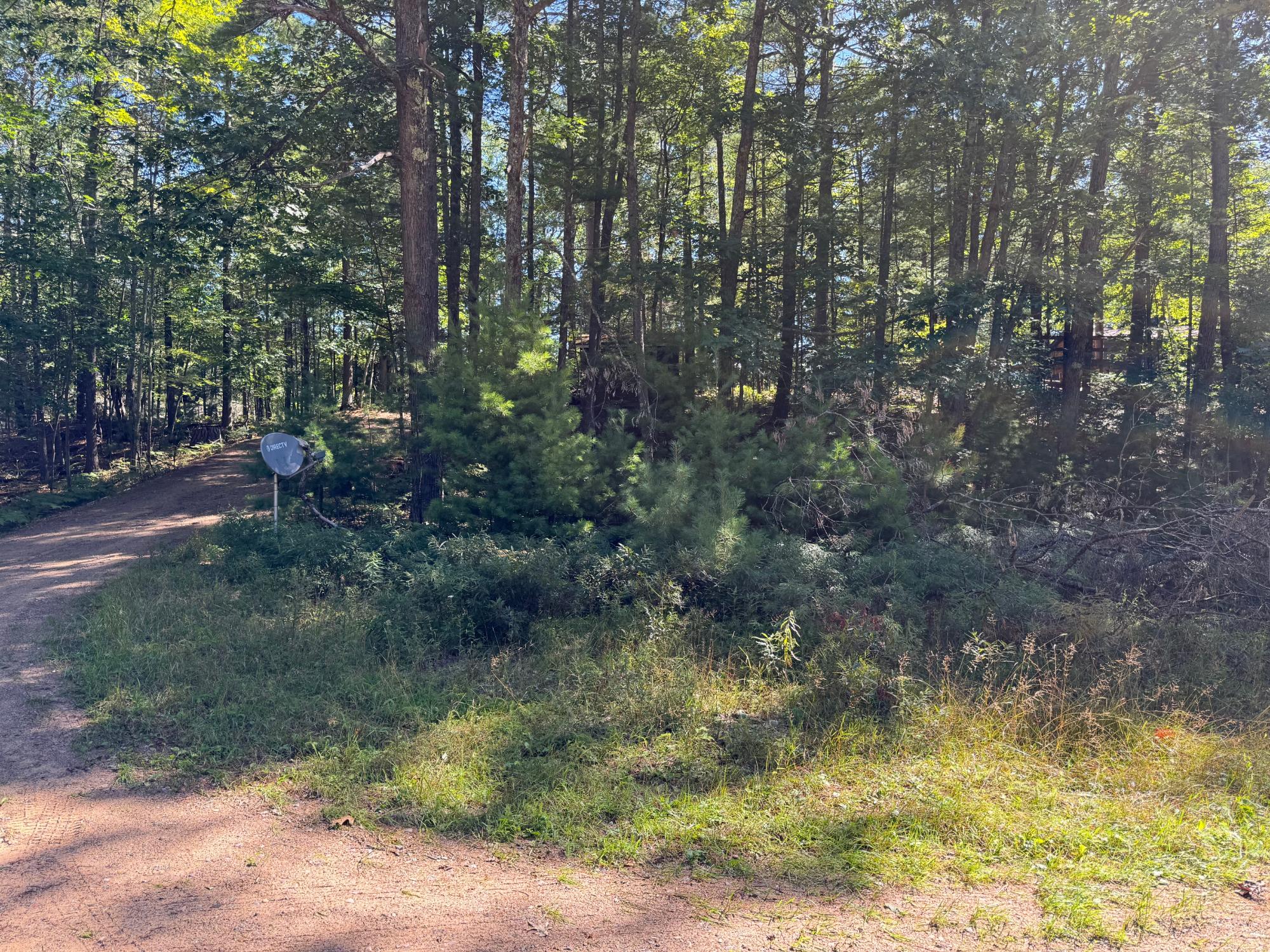 Arbutus Lake Property 4267 Red Pine Dr Photo 8