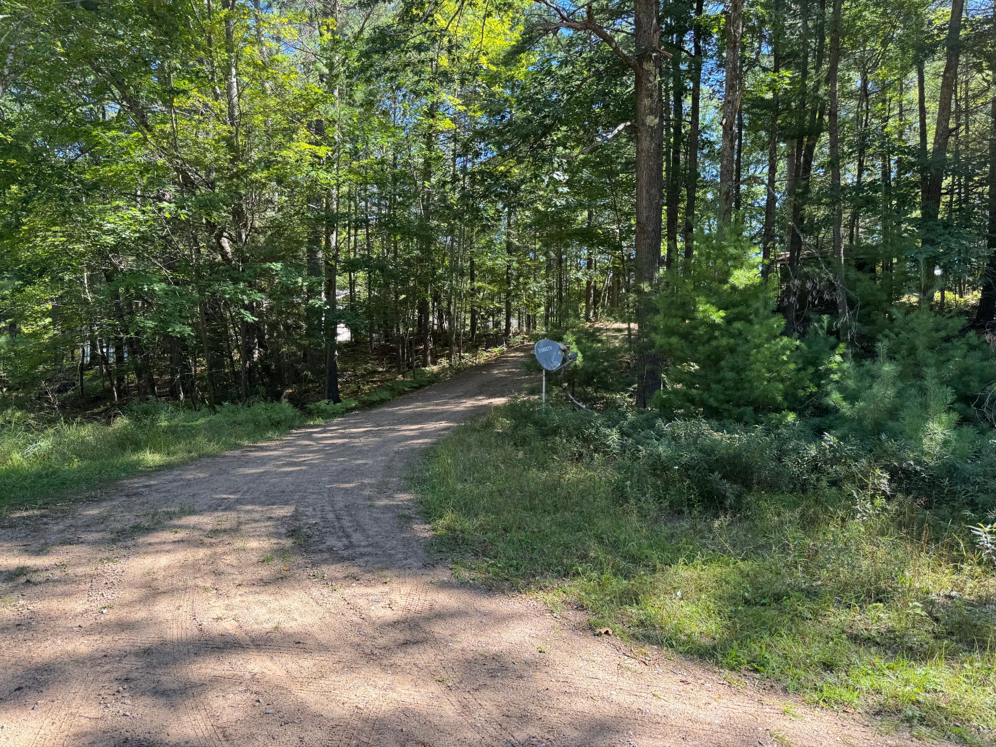 Arbutus Lake Property 4267 Red Pine Dr Photo 9