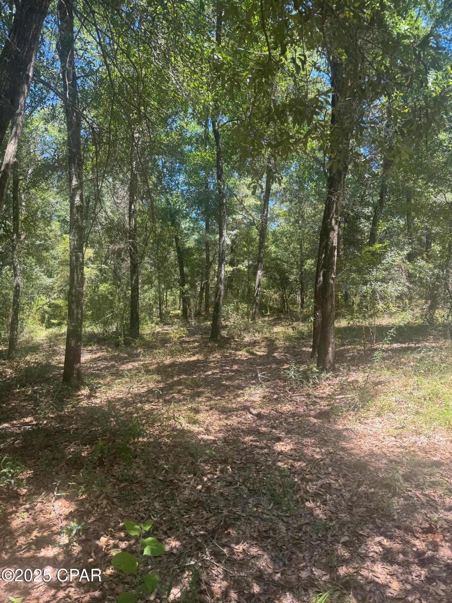 Details for 00 Dove Court, Chipley, FL 32428