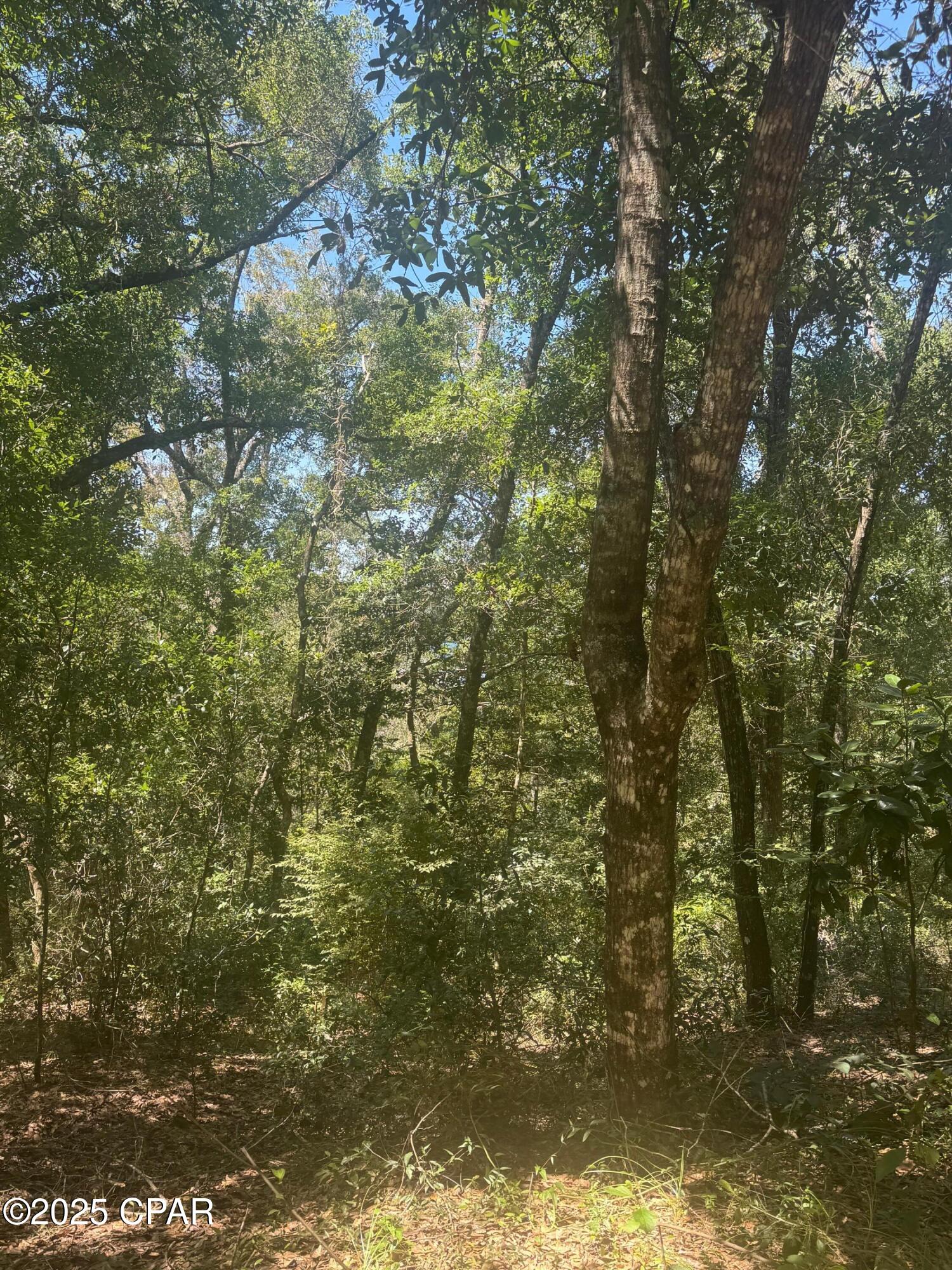 Image 2 For 00 Dove Court