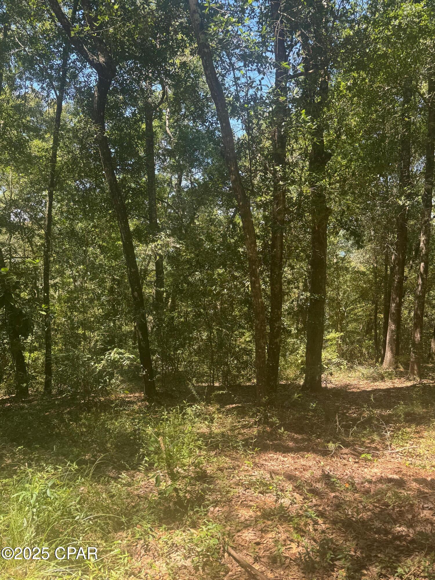 Image 3 For 00 Dove Court