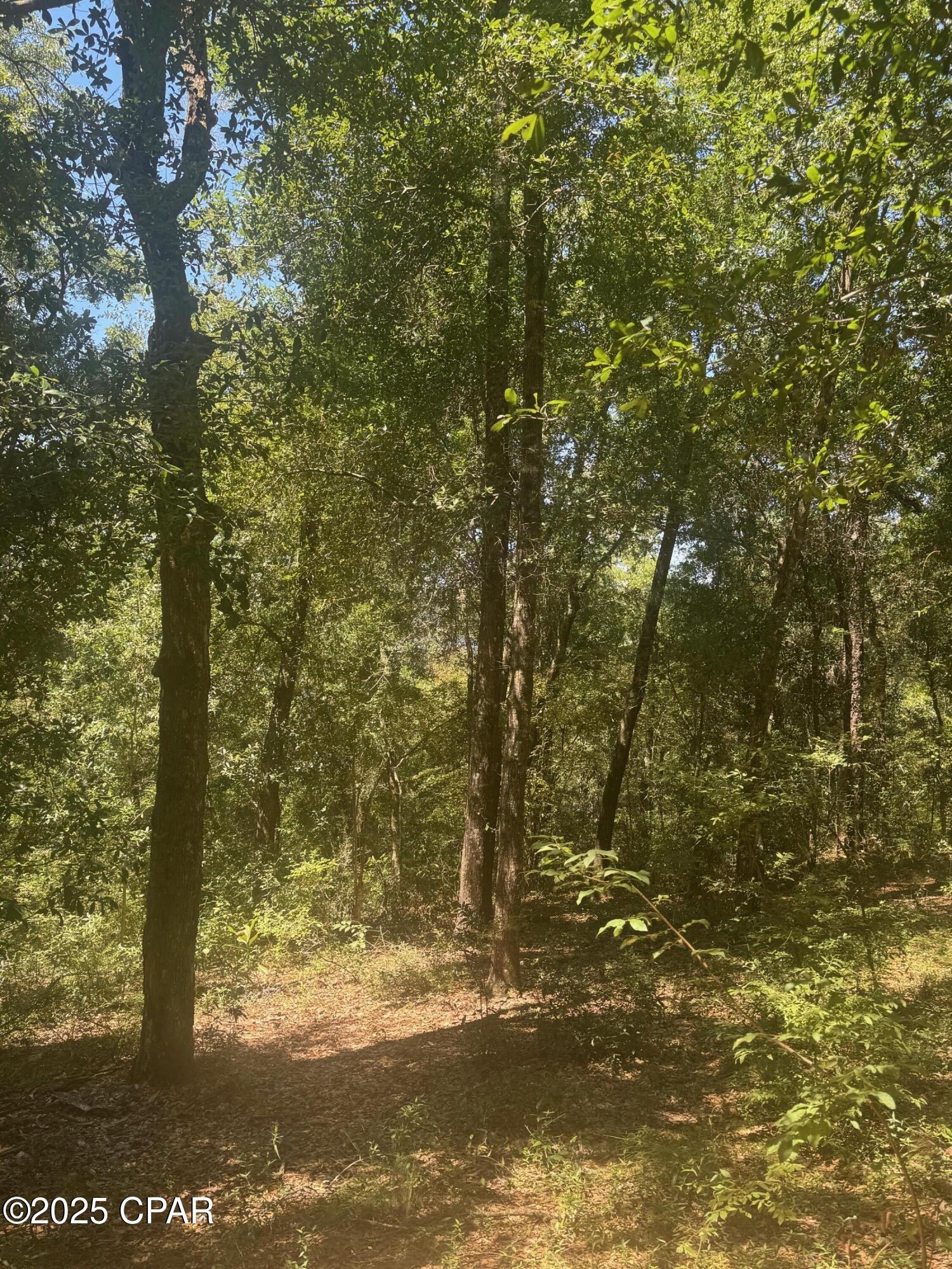 Image 4 For 00 Dove Court