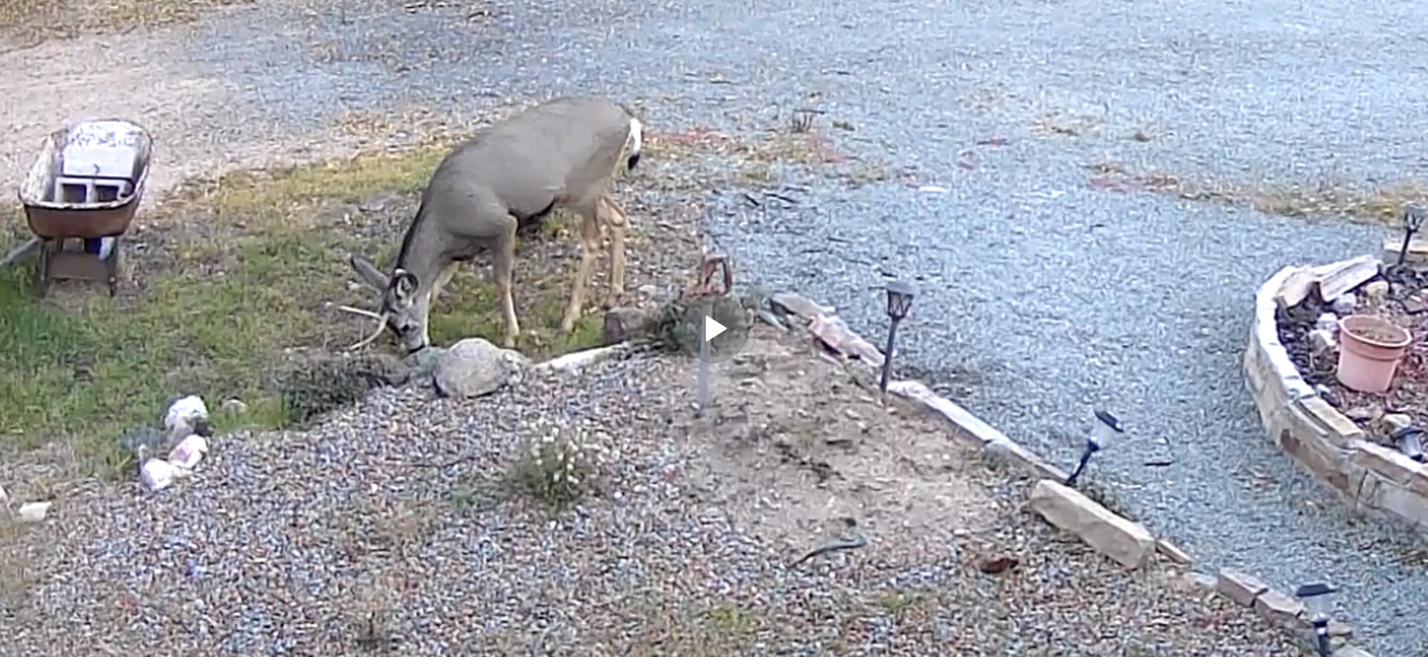 Homes for sale in Santa Fe, NM | 20b Glowing Star Rd, Santa Fe, NM 87506 | MLS# 1090731