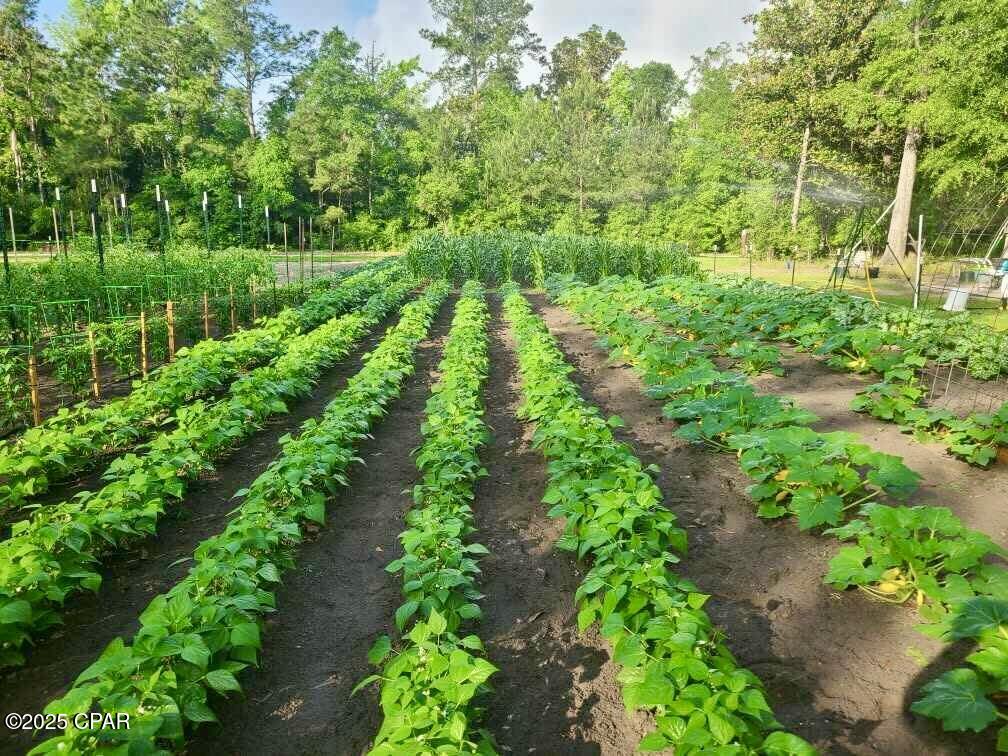 Image 72 For 3130 Magnolia Drive