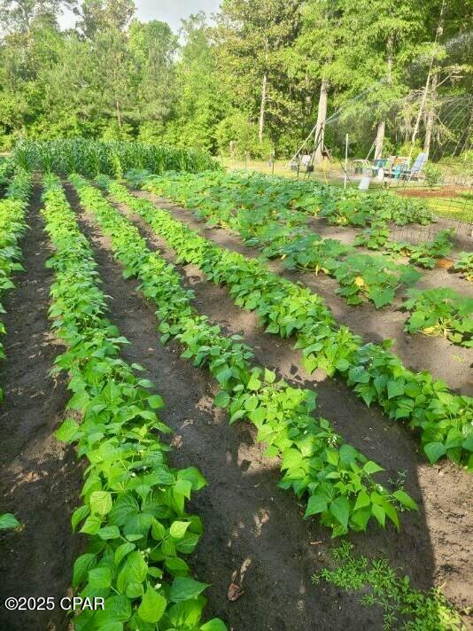 Listing photo id 73 for 3130 Magnolia Drive