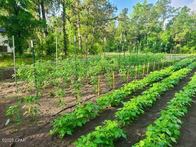 Image 74 For 3130 Magnolia Drive