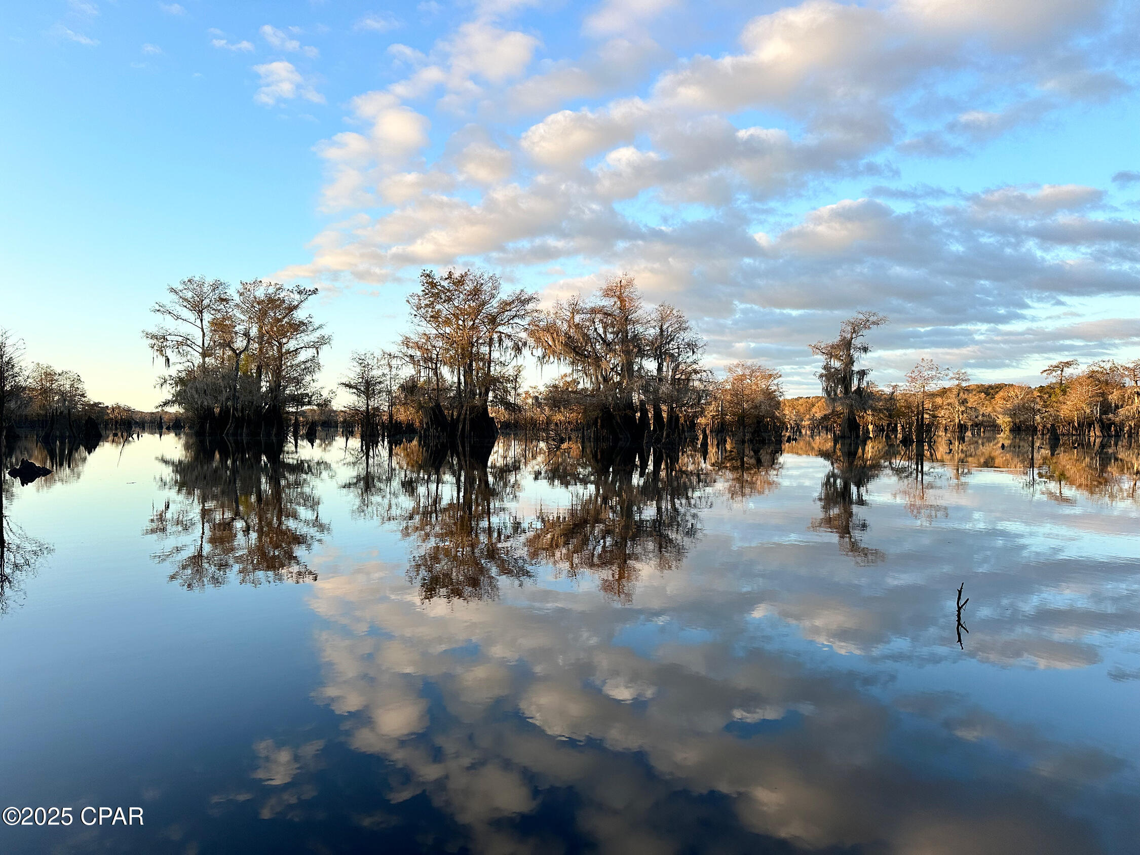 Image 19 For Tbd Sealy Drive