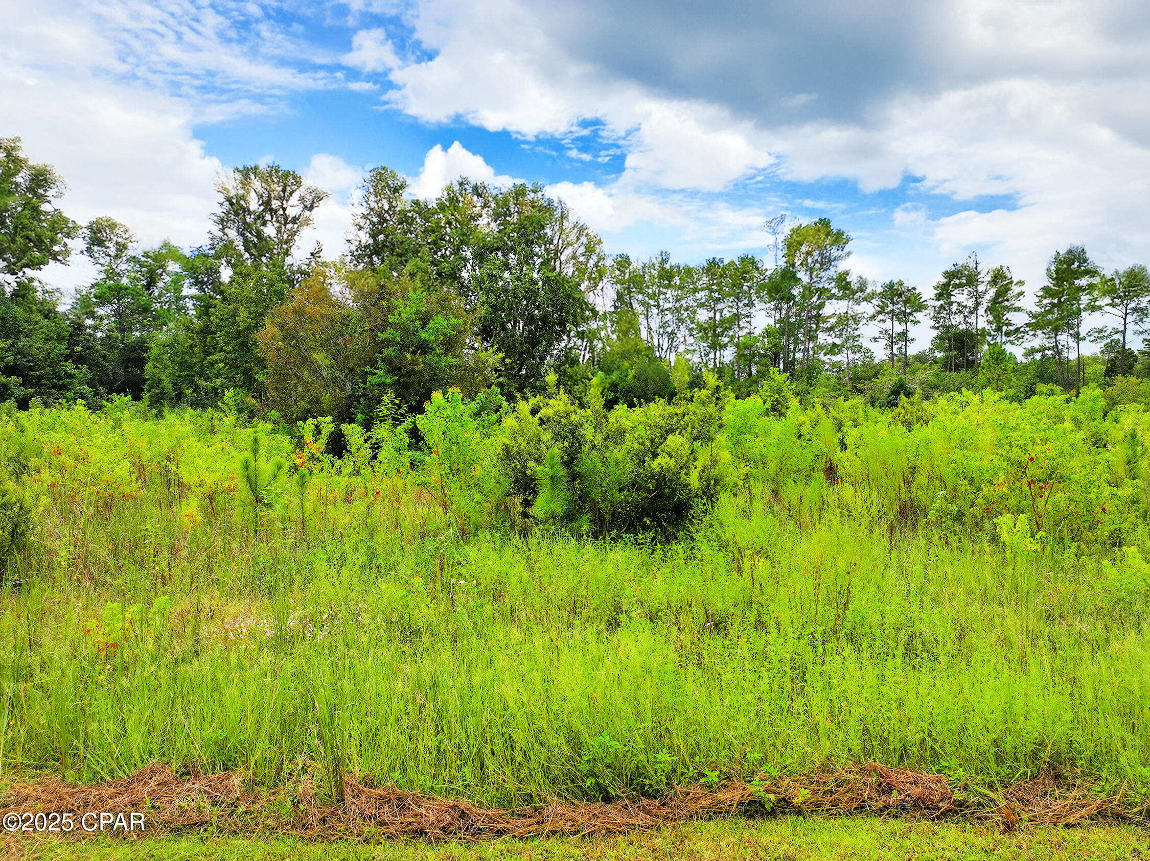 Image 9 For Tbd Sealy Drive