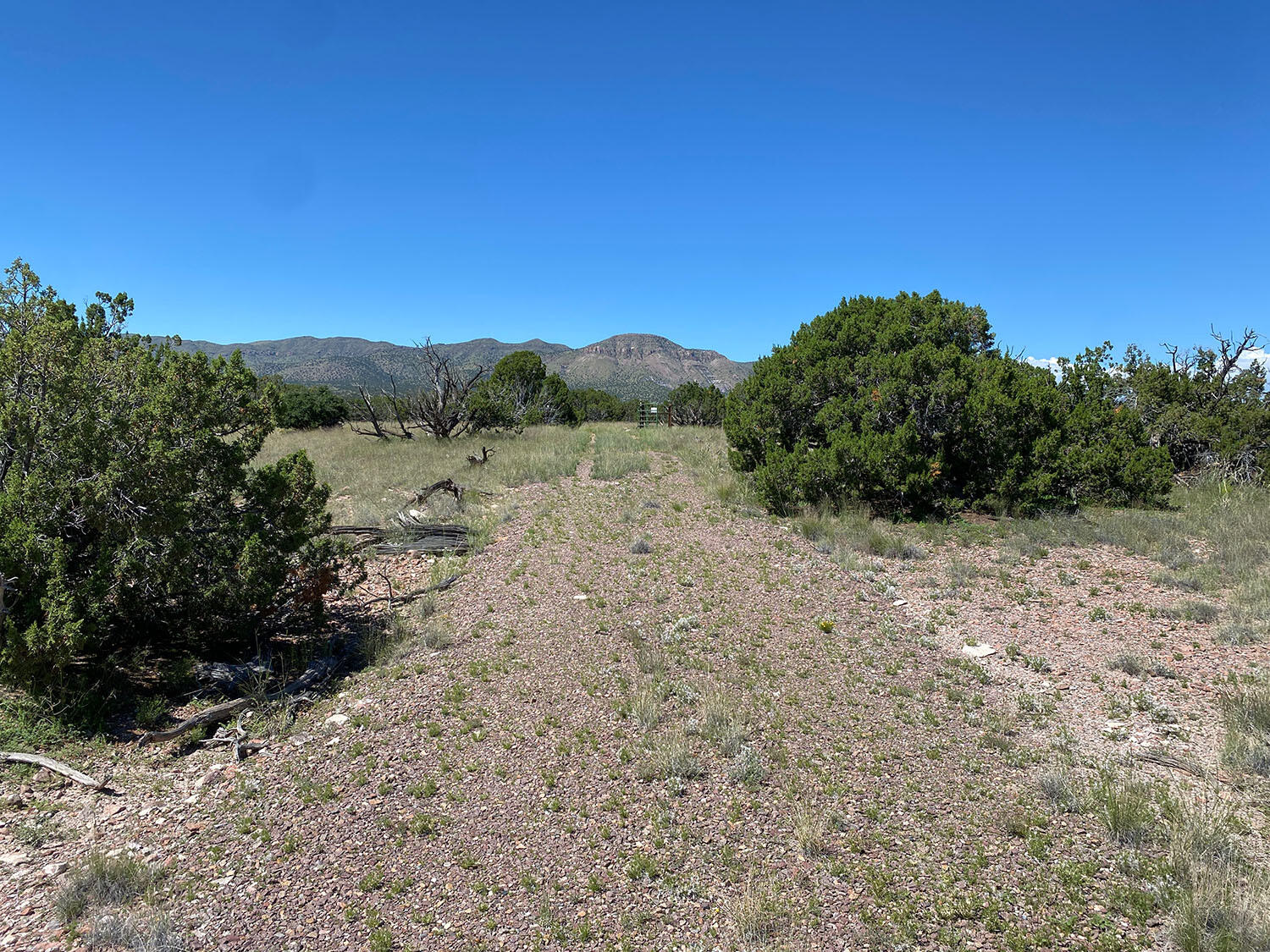 Homes for sale in Magdalena, NM | 0 Forest Road 354, Magdalena, NM 87825 | MLS# 1090766