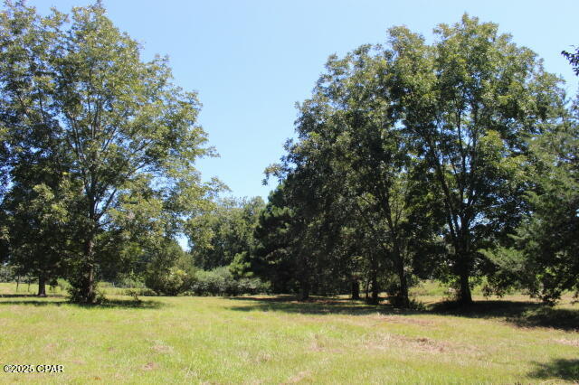 Image 1 For 1538 Highway 79