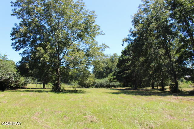 Image 10 For 1538 Highway 79