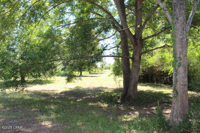 Image 11 For 1538 Highway 79