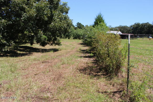 Image 17 For 1538 Highway 79