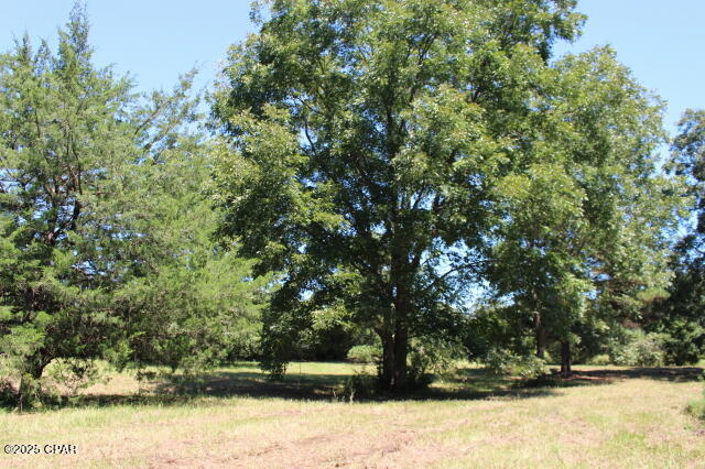 Image 18 For 1538 Highway 79