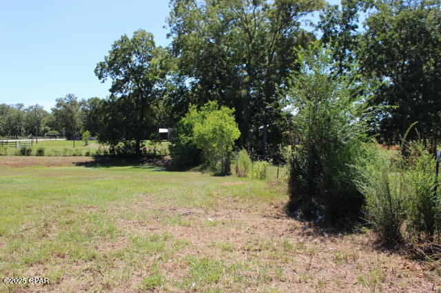 Image 25 For 1538 Highway 79