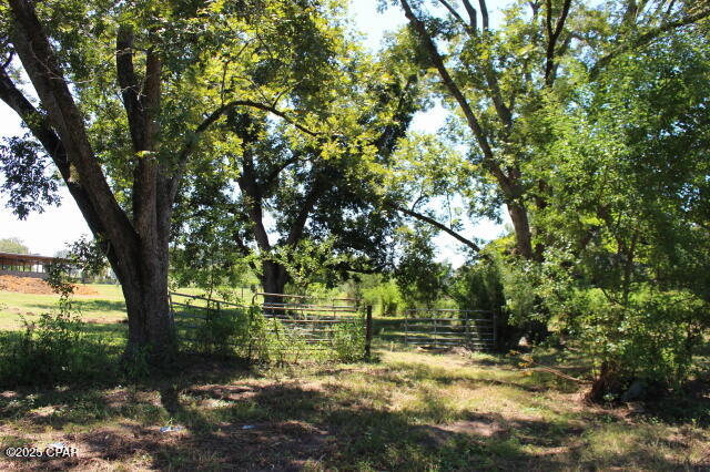 Image 35 For 1538 Highway 79