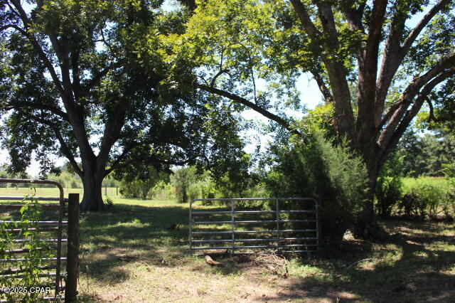 Image 36 For 1538 Highway 79