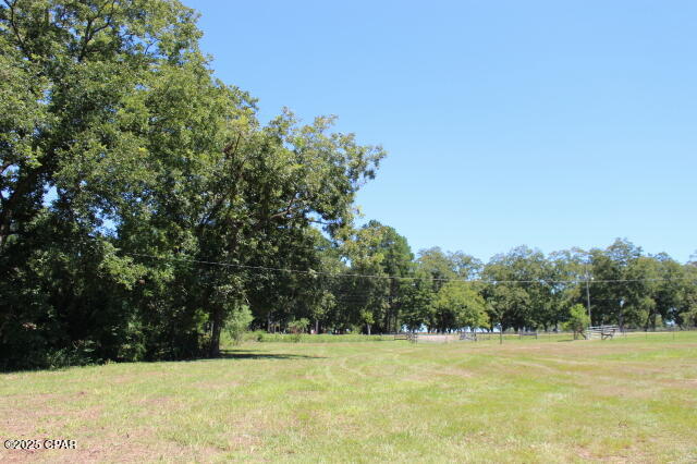 Image 37 For 1538 Highway 79