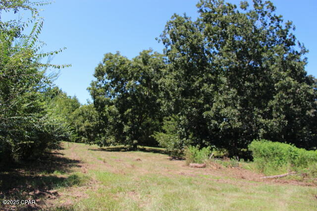 Image 5 For 1538 Highway 79