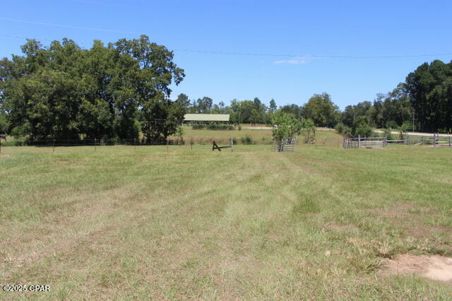 Image 58 For 1538 Highway 79