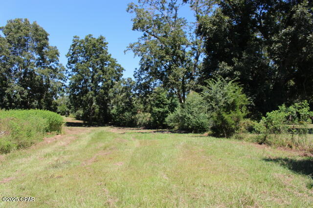 Image 6 For 1538 Highway 79