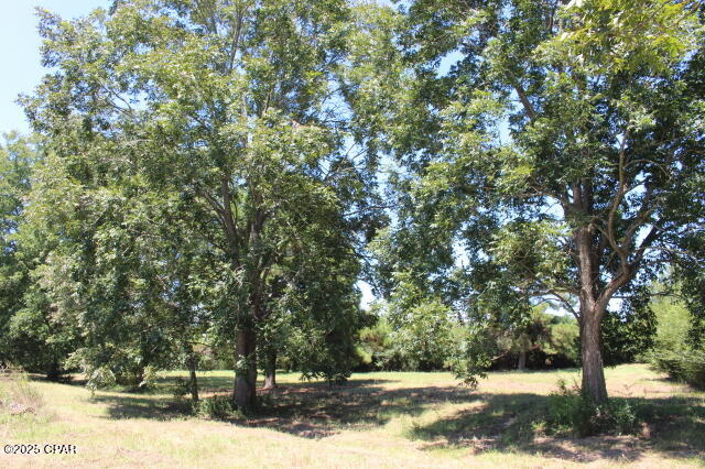 Image 7 For 1538 Highway 79