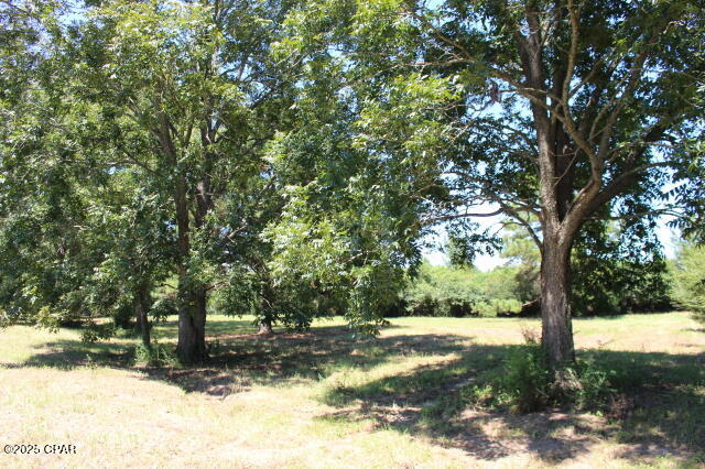 Image 8 For 1538 Highway 79