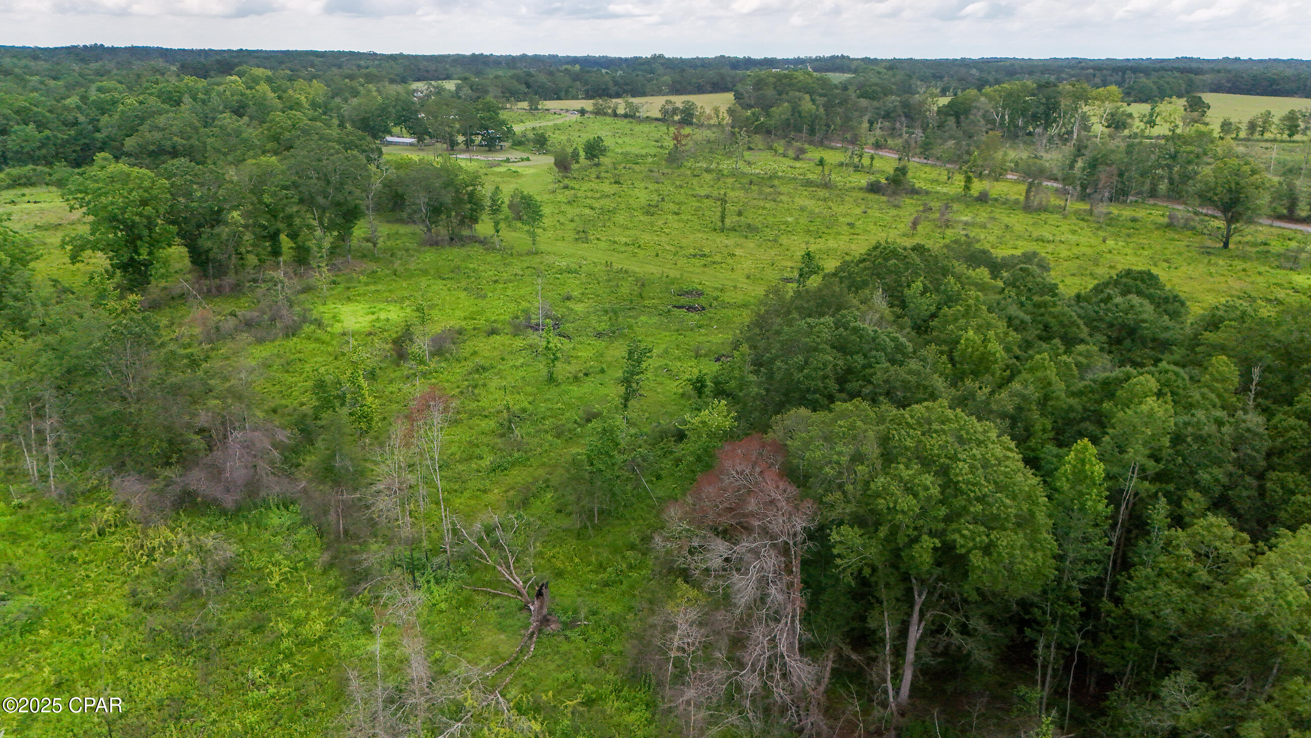 Image 5 For 00 Bush Road