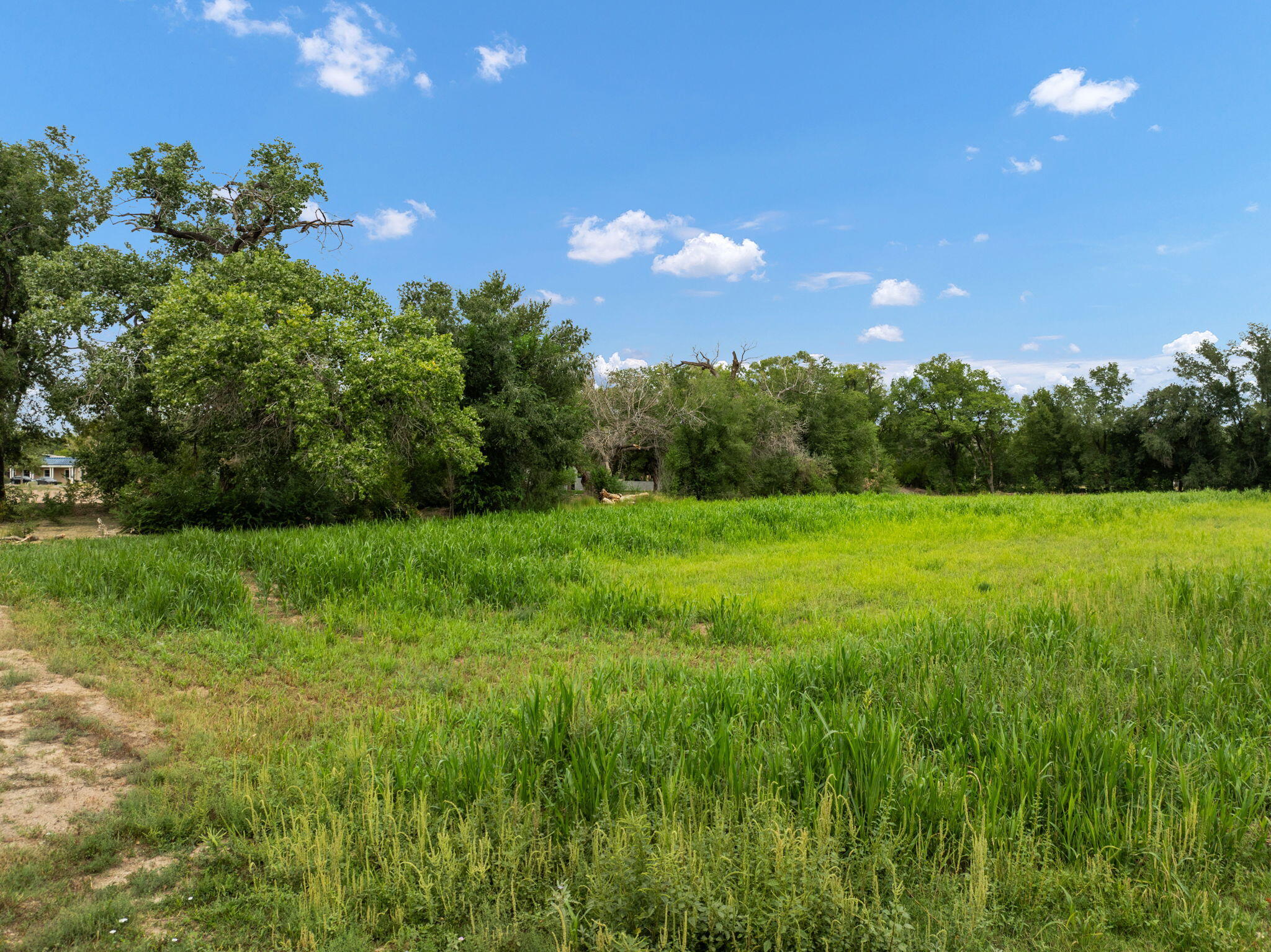 Homes for sale in Los Ranchos, NM | 1001 Cottonwood Dr Nw, Los Ranchos, NM 87107 | MLS# 1090833