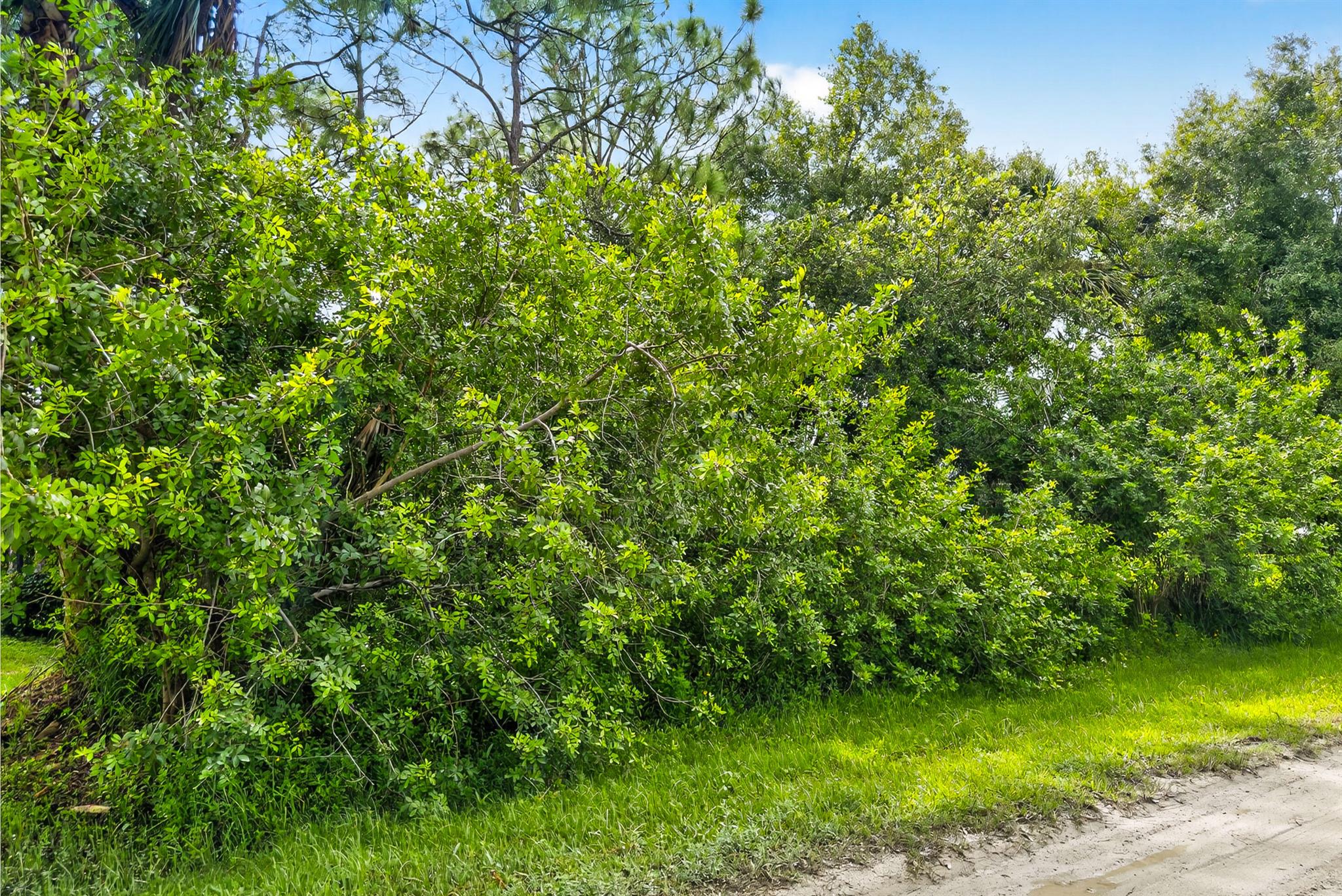 Homes for sale in Vero Beach, FL | 8156 101st Court, Vero Beach, FL 32967 | MLS# R11120979