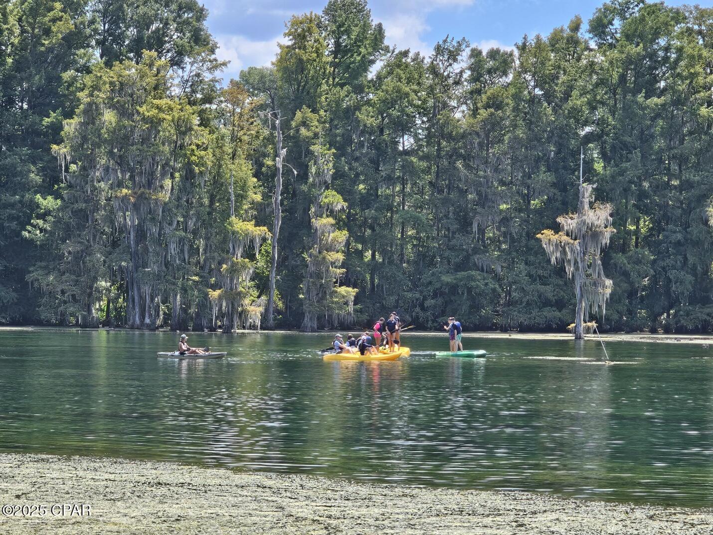 Homes for sale in Marianna, FL | 4918 Flynt Dr, Marianna, FL 32446 | MLS# 778587