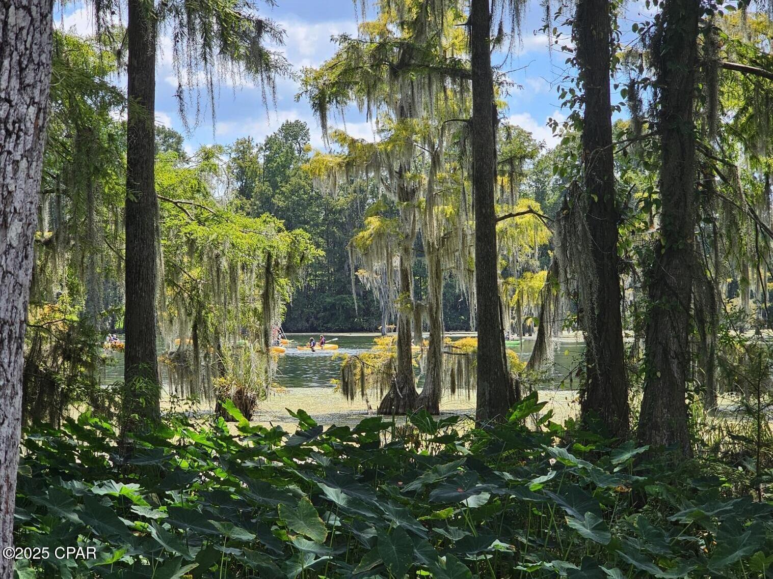 Homes for sale in Marianna, FL | 4918 Flynt Dr, Marianna, FL 32446 | MLS# 778587