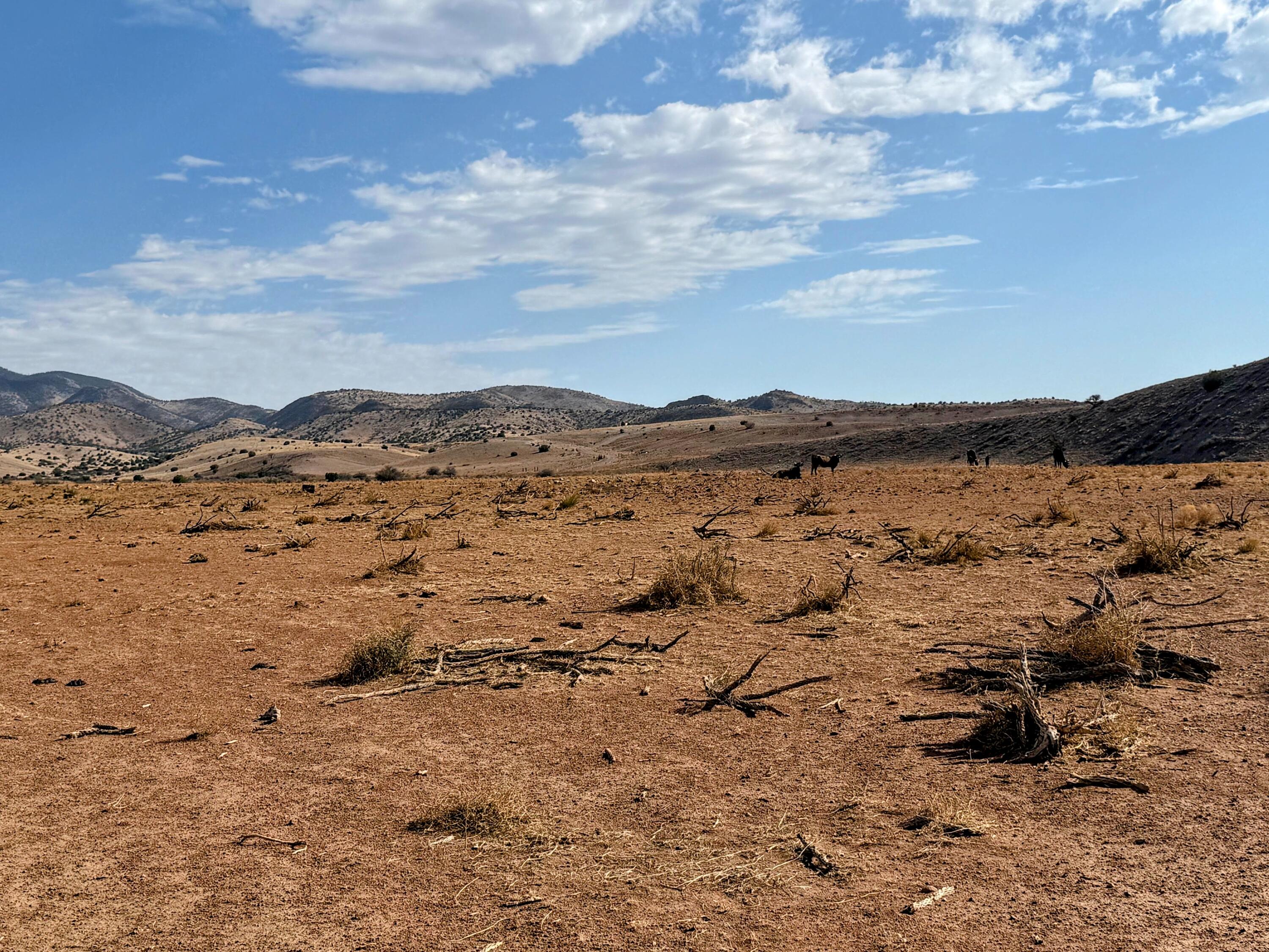 Homes for sale in San Antonio, NM | Lot 122 Golden Ridge, San Antonio, NM 87832 | MLS# 1090883