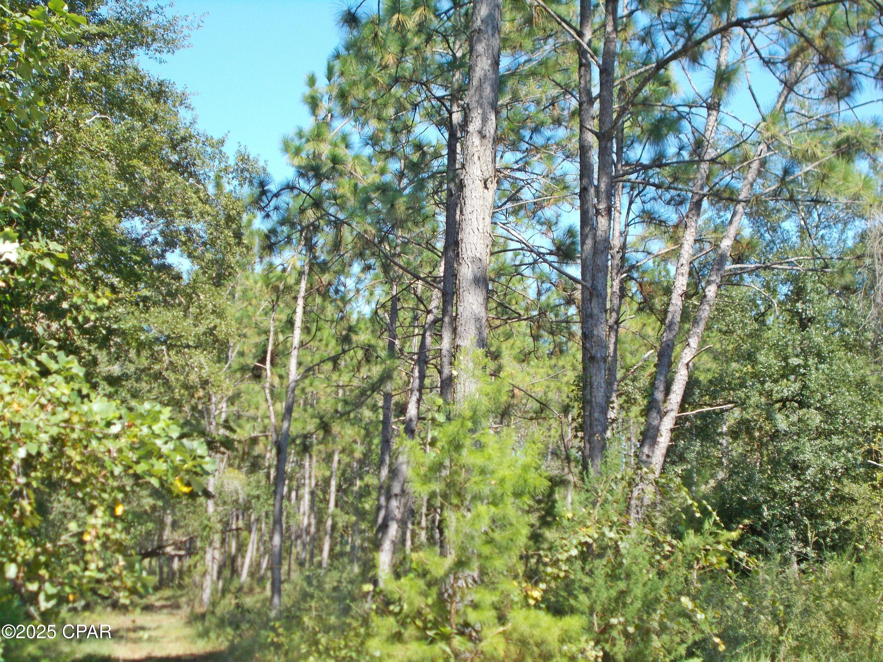 Image 21 For 702 Moonseed Lane