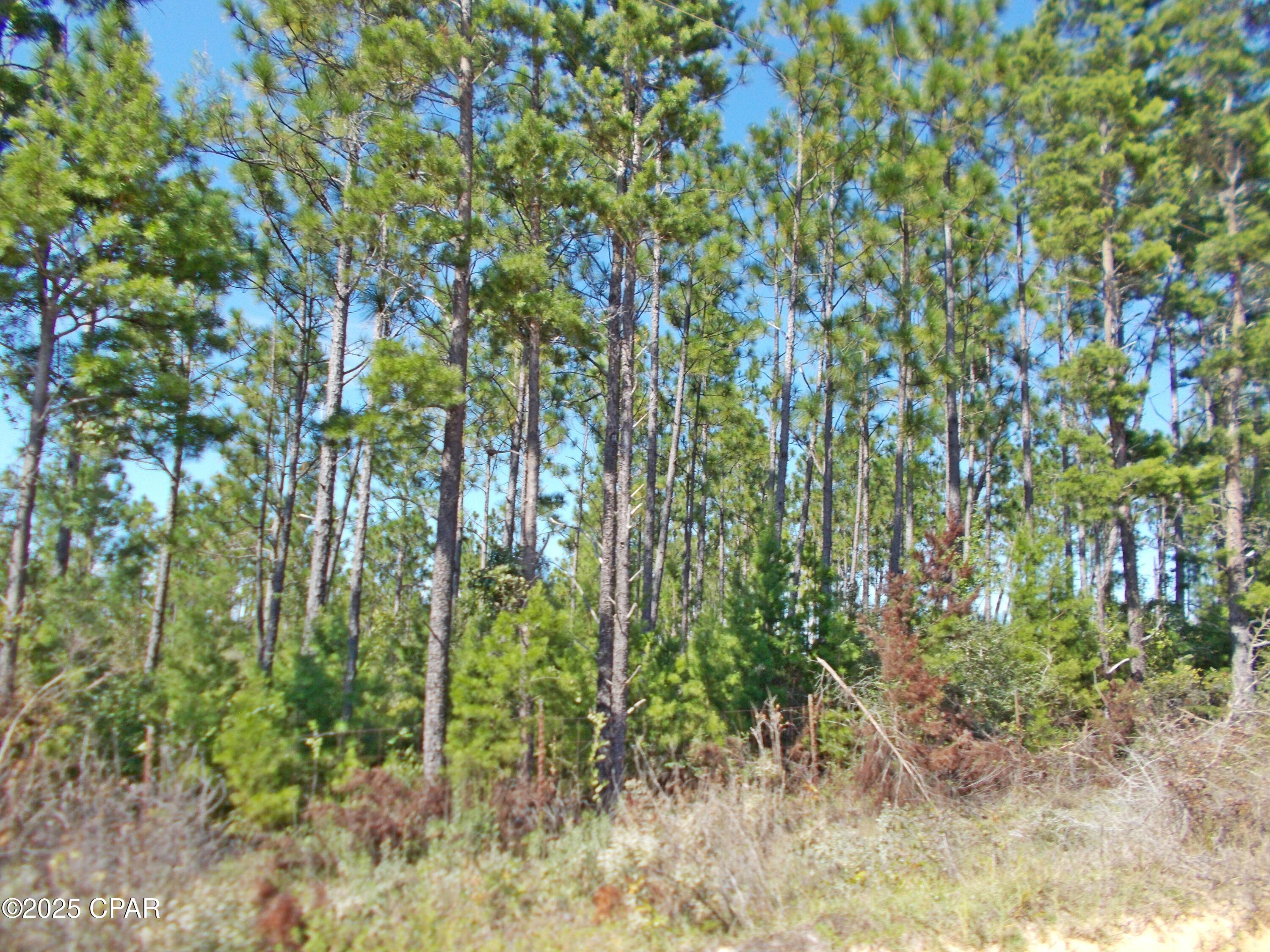 Image 22 For 702 Moonseed Lane