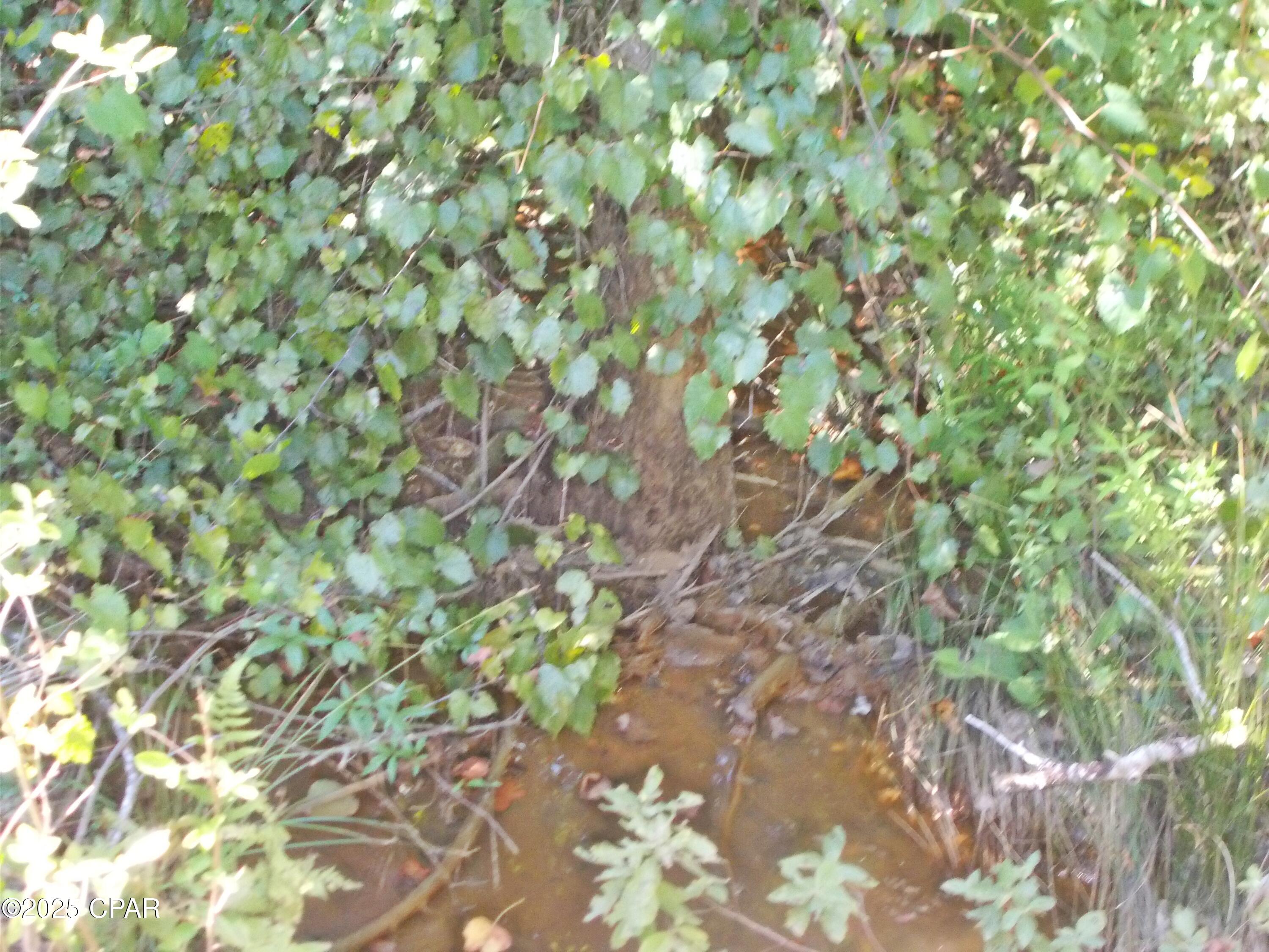 Image 23 For 702 Moonseed Lane